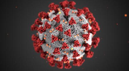 Coronavirus Disease 2019 (COVID-19) Outbreak
